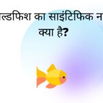 गोल्डफिश का साइंटिफिक नाम क्या है? Goldfish Ka Scientific Naam