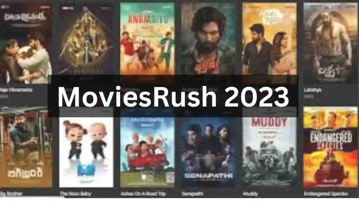 MoviesRush 2023