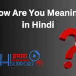 How Are You Meaning in Hindi